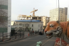 Вид на недострой со стороны улицы Тигровой