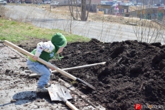 <strong>Самой важной частью субботника стала посадка аллеи хвойных деревьев, в которой участвовали и взрослые, и дети. Руководили процессом опытные специалисты. В итоге за пару часов аллею полностью высадили.</strong>