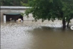 <strong>Улицы Уссурийска вновь погружаются под воду</strong>
