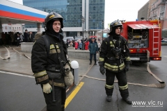 <strong>Фото: Анастасия Котлярова, пресс-служба администрации Владивостока</strong>