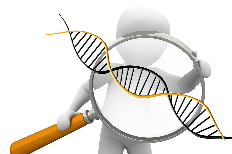 В Приморье будут выполнять судебно-геномную экспертизу