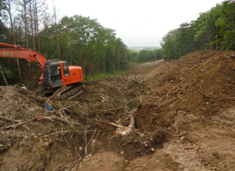 Десятки гектаров уникального леса варварски вырубили в пригороде Владивостока