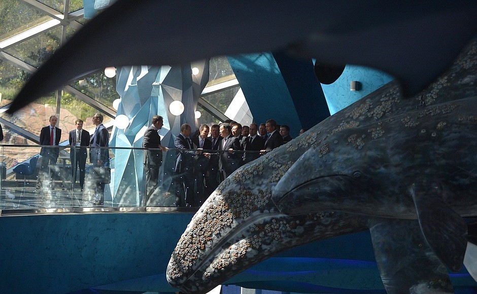 Приморский океанариум вновь начал принимать посетителей после перерыва