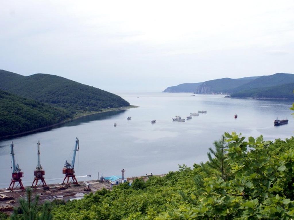 «Корпорация развития Дальнего Востока» поддержала проект в порту Ольга