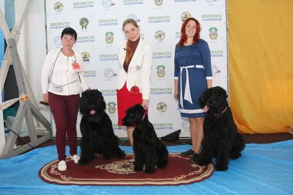 Приморские тюремщики приняли участие в международной выставке собак