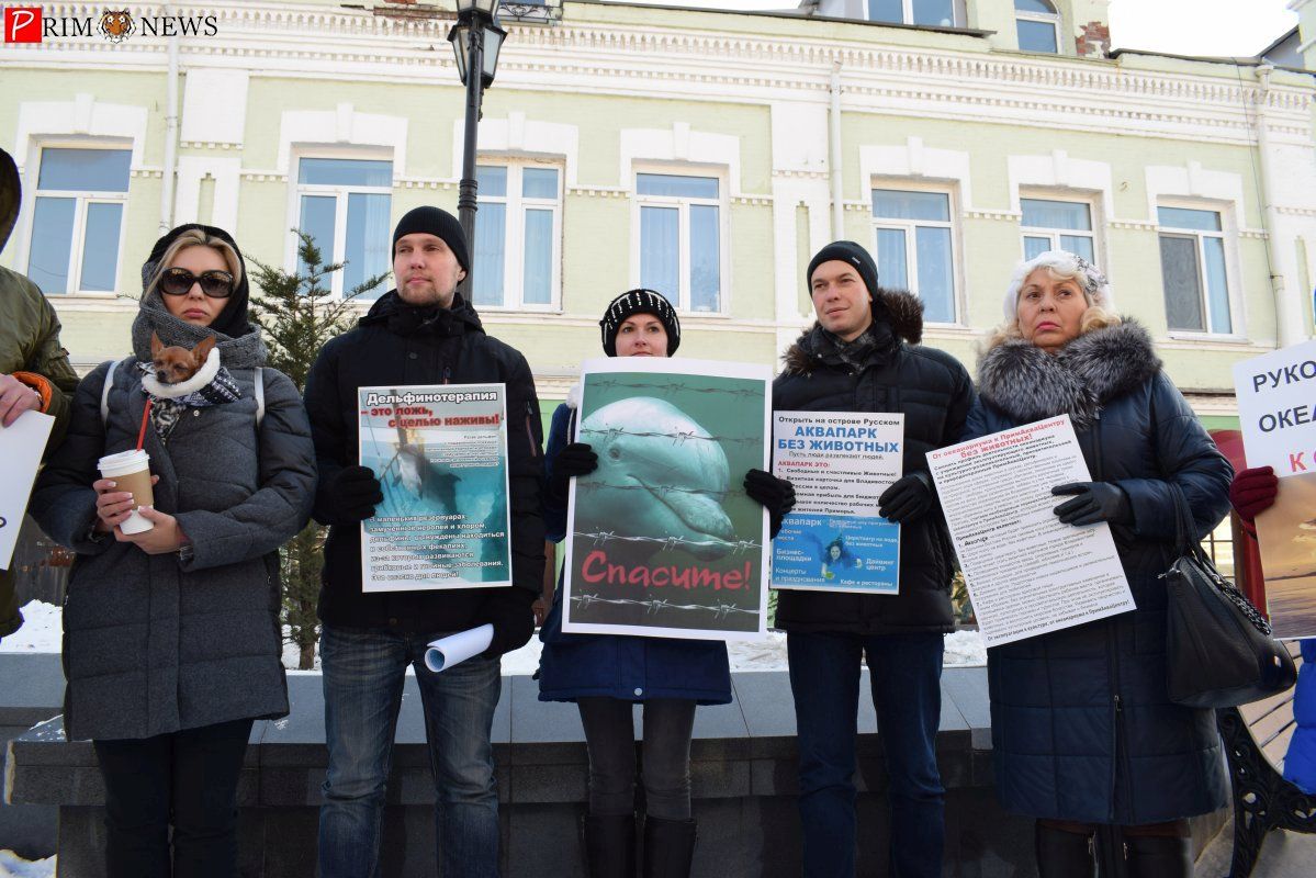 Зоозащитники на пикете во Владивостоке потребовали перепрофилировать Приморский океанариум