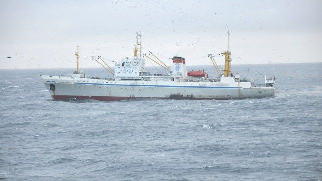 Приморские рыбаки будут выпускать печень минтая прямо на борту траулера «Капитан Демидюк»
