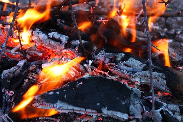 В Приморье природные пожары прошли уже почти тысячу гектаров
