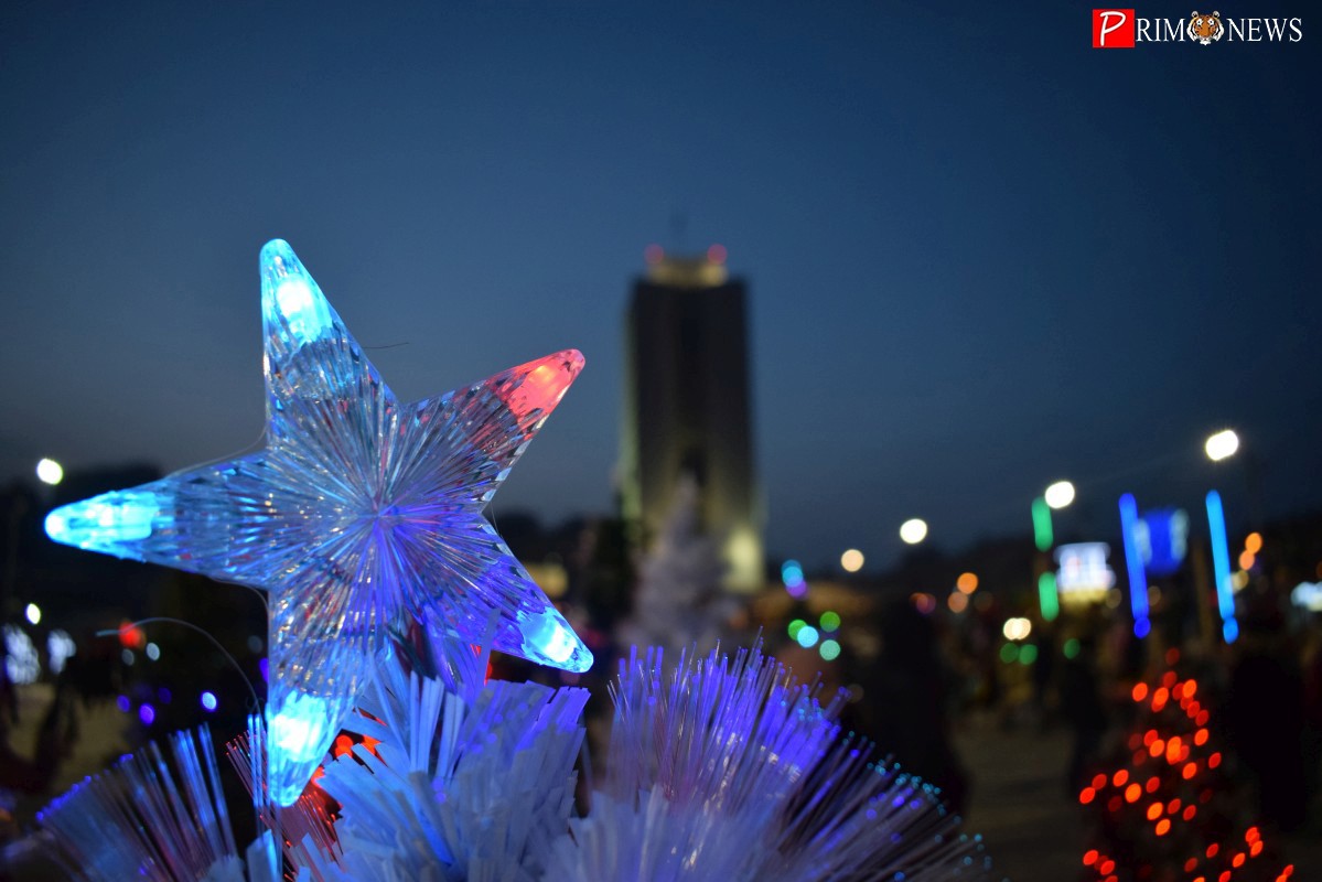 Владивосток встретил Новый год дружным кукареканьем и фейерверком