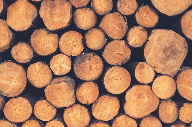 Основной объем экспорта лесоматериалов из Приморья направлен в Китай