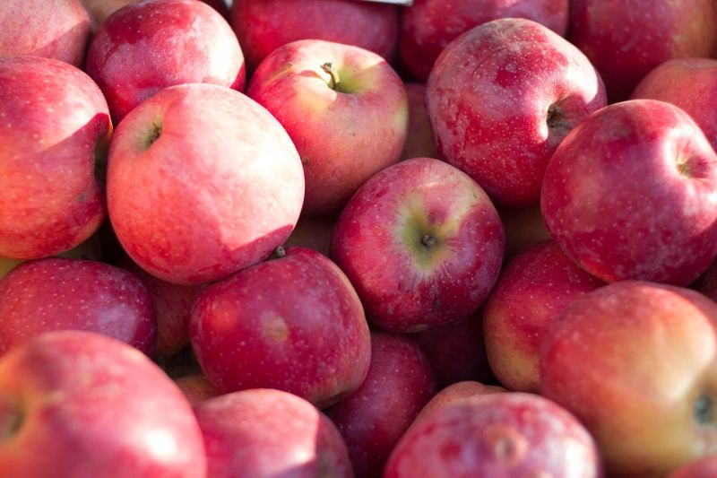 В Приморье более девяти тонн польских яблок вывезли на полигон и уничтожили