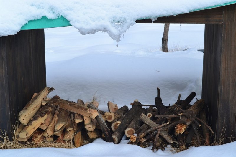 Не жизнь, а выживание: жители села Тигровый замерзают без дров