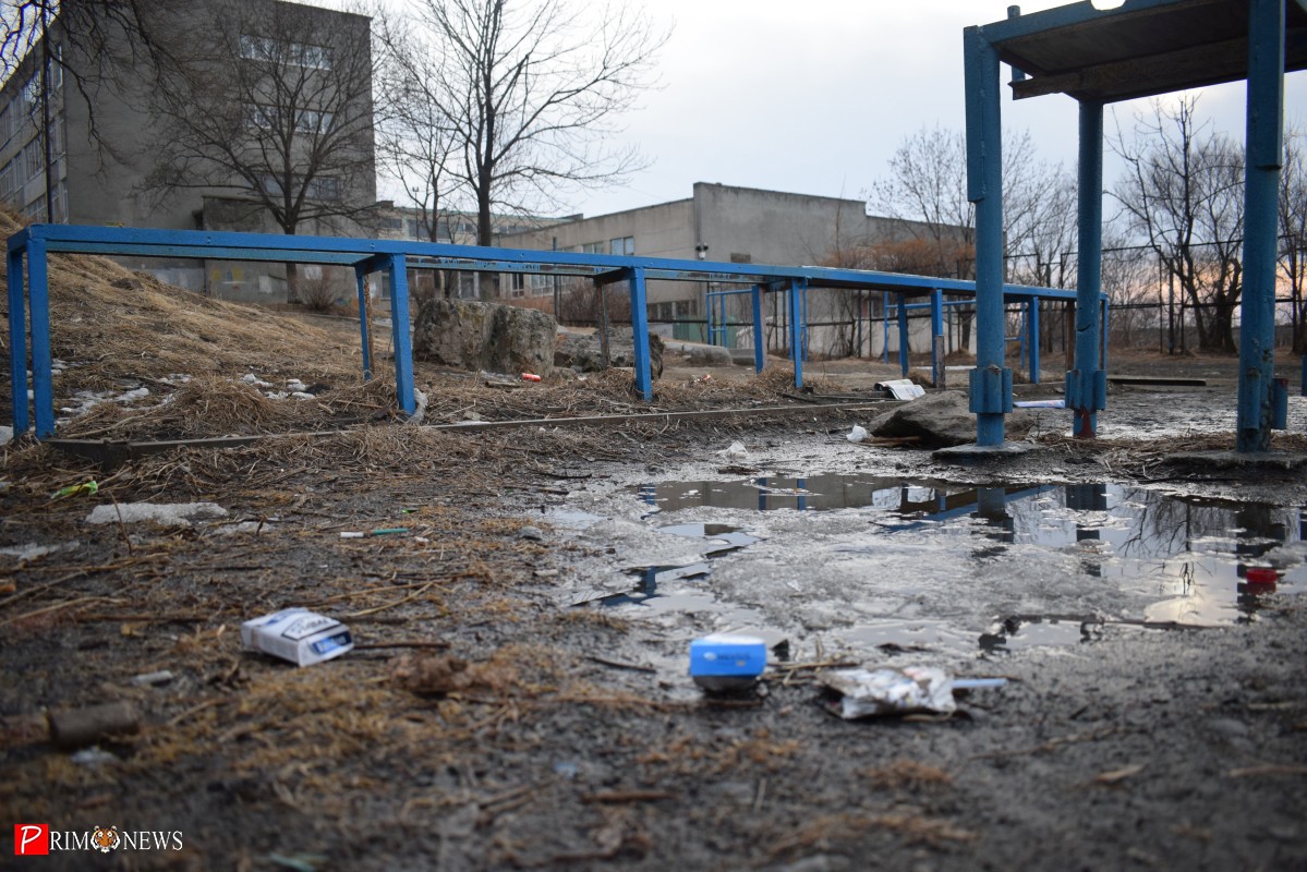 В грязное место для выгула собак превратилась территория у школы №58 во Владивостоке