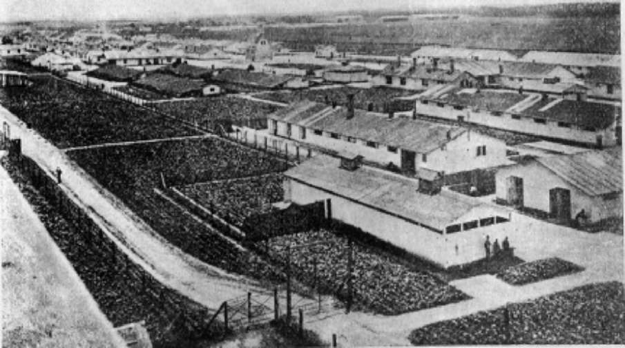 Жители Артёма — бывшие узники концентрационных лагерей — поделились своими воспоминаниями