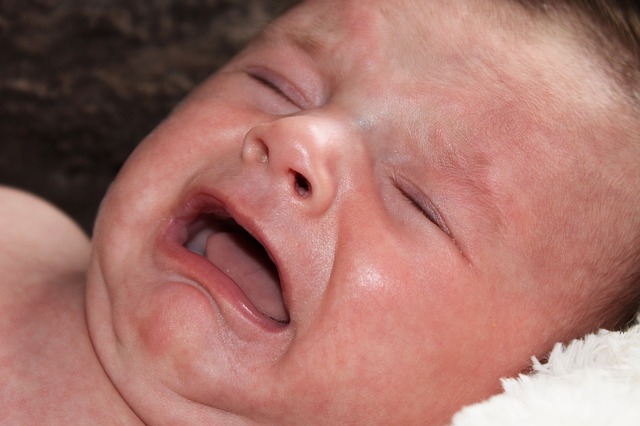 В Приморье в 2019 году благодаря репродуктивным технологиям на свет появились 89 малышей