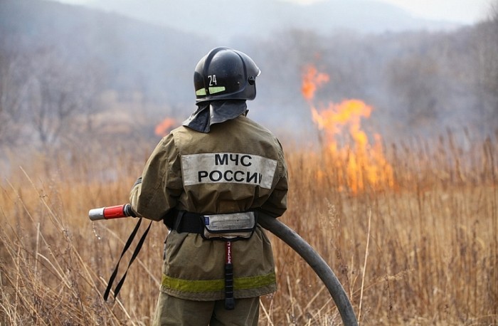В Приморье за сутки потушили 14 лесных пожаров