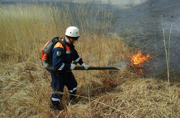 За выходные в Приморье потушили 15 лесных пожаров