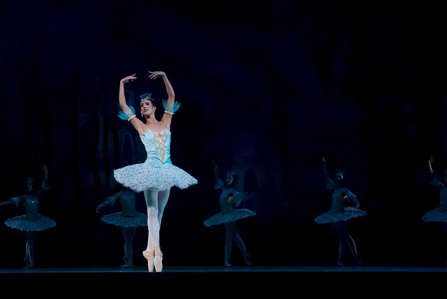 Юных артистов балета поддержат в Приморье рублём