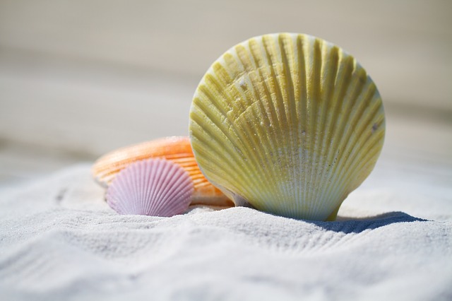Уже 42 пляжа Приморья вошли в список безопасных для отдыха