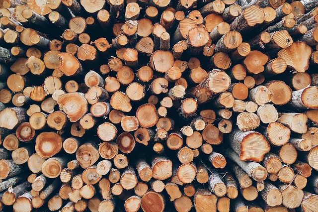 Жители приморской глубинки столкнулись с новой проблемой: они не могут заказать дрова через Интернет