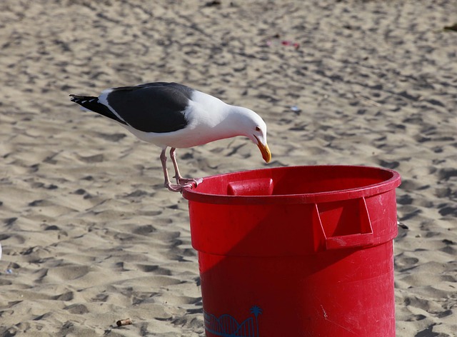 Щитовую превратили в «свинарник»: популярный в Приморье пляж загажен мусором