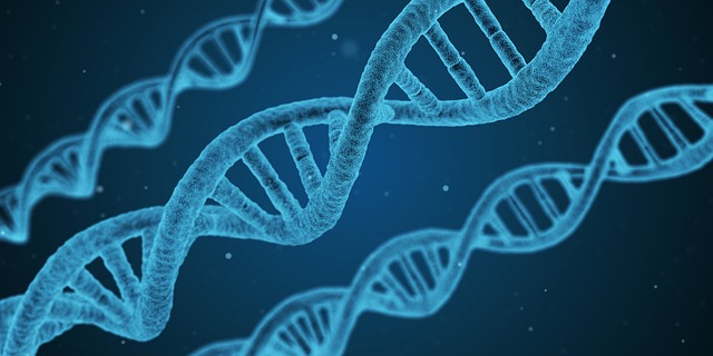При ДВФУ создали Центр геномной и регенеративной медицины