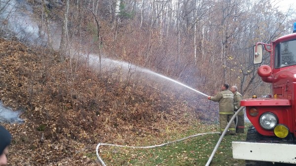 В Приморье за сутки потушили 17 лесных пожаров