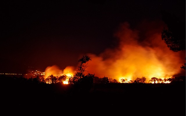 Серьёзный пожар в Приморье: возле села Новоникольск полыхало поле
