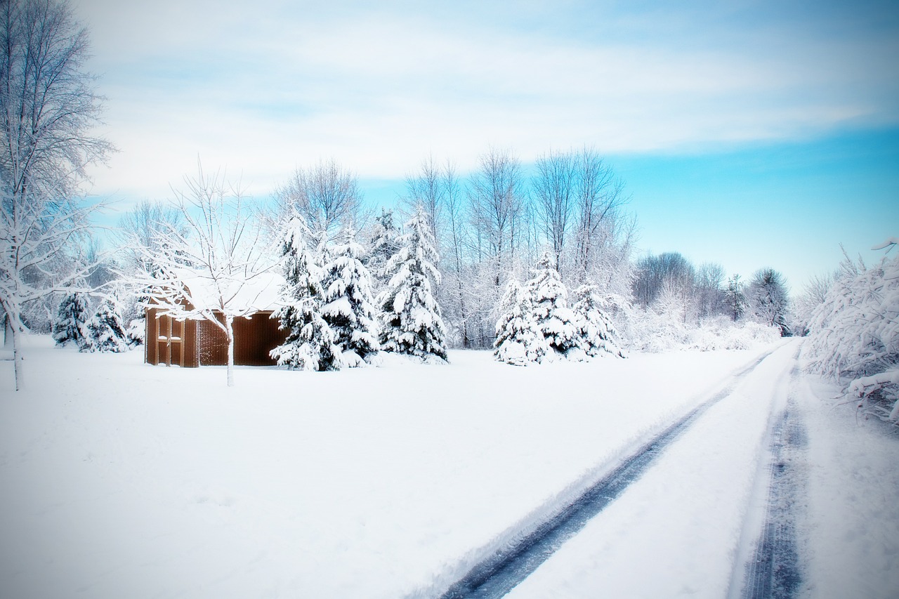 Экстремальное вождение: как правильно ездить по зимним дорогам
