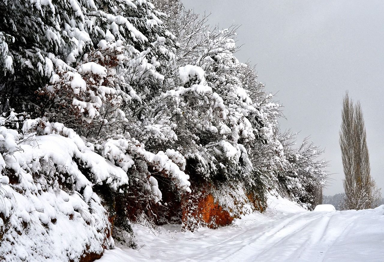 Аномально холодная погода ожидается в Приморье 22-26 января — власти