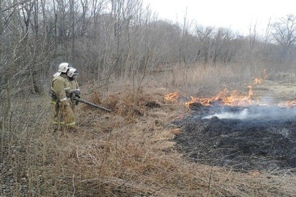 Особый противопожарный режим введён в Дальнегорске и Тернейском районе