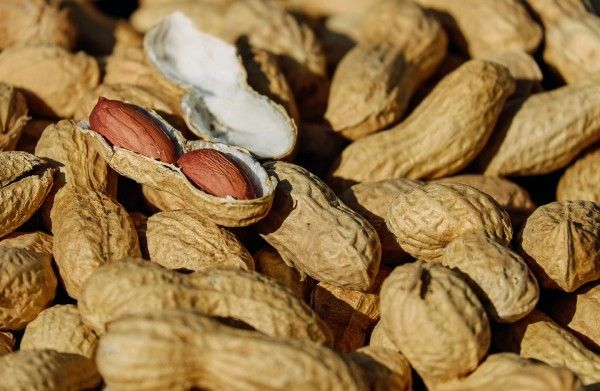 В Приморье не пустили почти 20 тонн токсичного арахиса