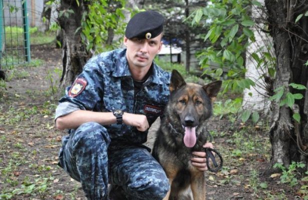 Содержание собаки во Владивостоке оказалось одним из самых дорогих в стране