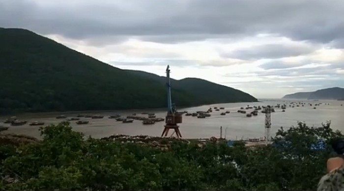 Впечатляющее зрелище: уход сотен северокорейских шхун из Приморья записали на видео