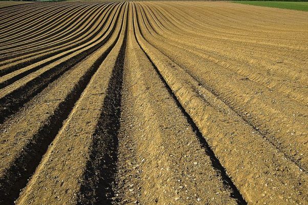Минеральные удобрения в Приморье будут выпускать на новом предприятии