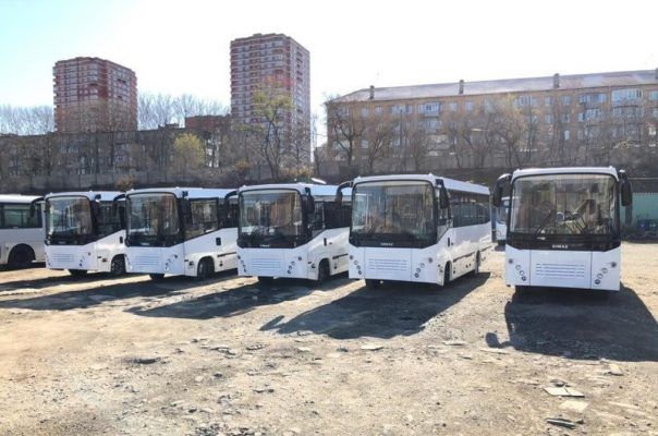 На маршрут №55 во Владивостоке закупили пять новых автобусов
