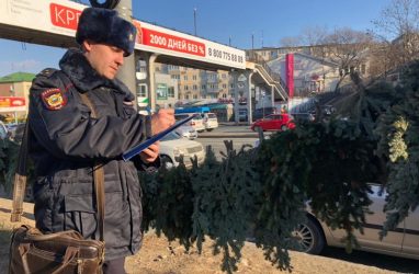 Во Владивостоке наказали незаконных торговцев ёлками