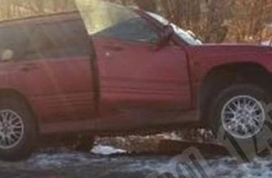 В Приморье пожилому человеку стало плохо за рулём: машина врезалась в дерево