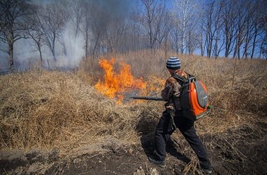 Дым от природных пожаров окутал Владивосток