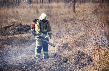 В Приморье за выходные потушили три лесных пожара