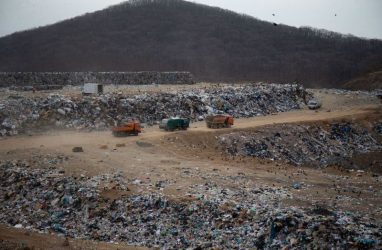 На решение «мусорного» вопроса во Владивостоке направят 85 млн рублей