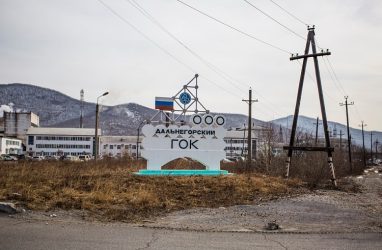Дальнегорский горно-обогатительный комбинат в 2019 году сократил чистый убыток в 3,2 раза