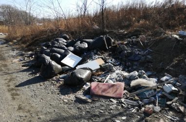 Нарушения в формировании тарифов на вывоз мусора выявили в Приморье