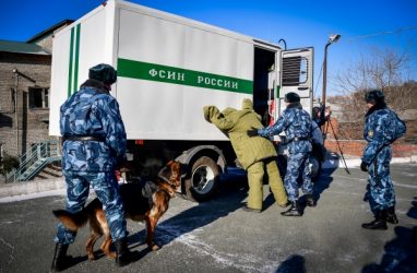В Приморье троих перебросчиков поймали с помощью служебных собак