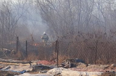 В Приморье чуть не сгорели несколько сёл в Хасанском районе