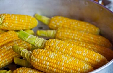 В Индии увеличили посев кукурузы