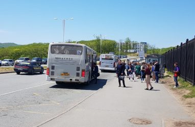 Мэрия Владивостока объявила тендер на поставку автобусов с электрическим двигателем