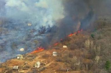 Природный пожар перекинулся на дачный посёлок в Приморье