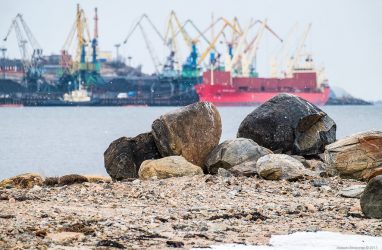 Дайверы исследуют затонувший у берегов Владивостока буксир