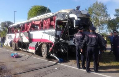 Нарушений в документах смертельного для китайских туристов автобусного рейса не нашли